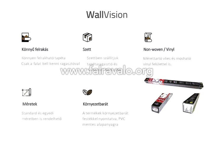 WallVision