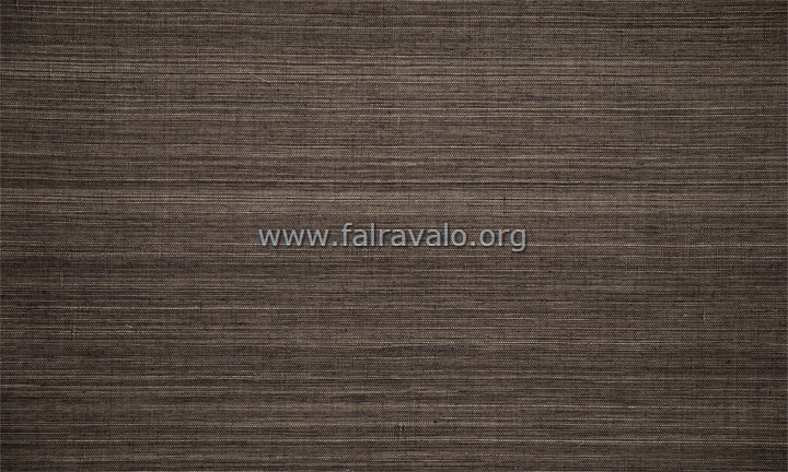 Oculaire