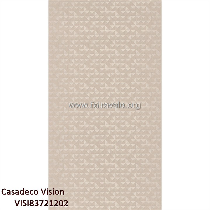 Vision