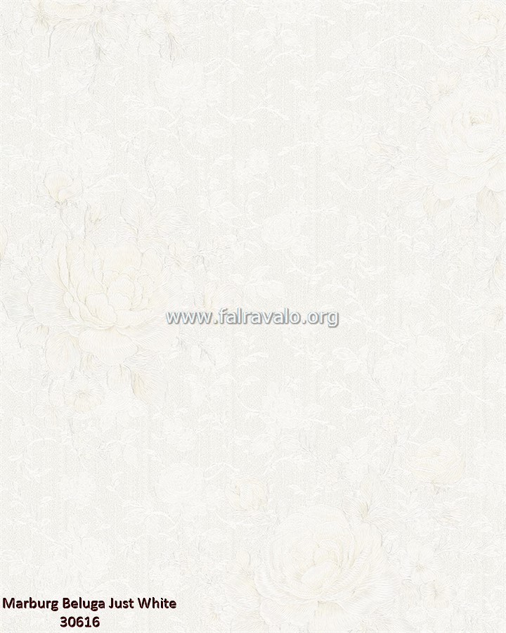 Beluga Just White