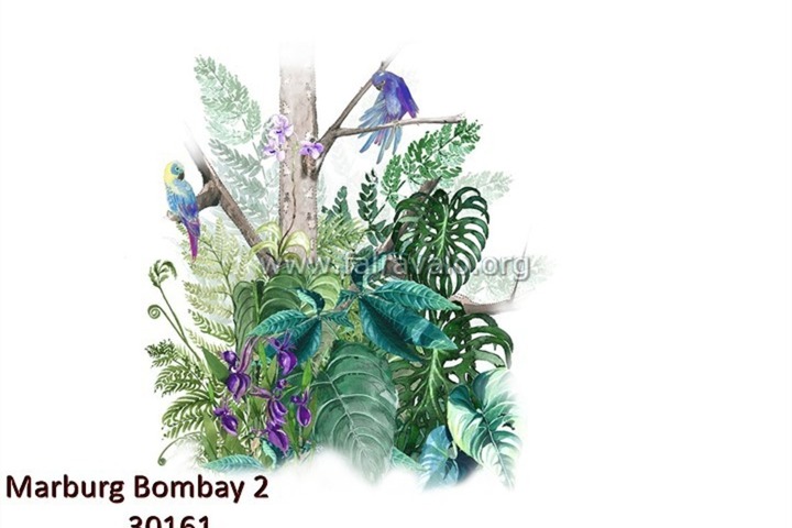 Bombay 2