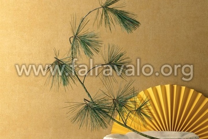 Kimono Khroma