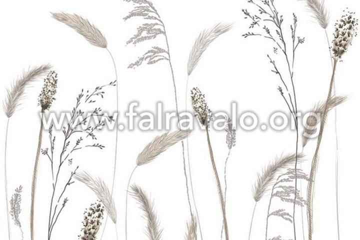 Jubilaums 175
