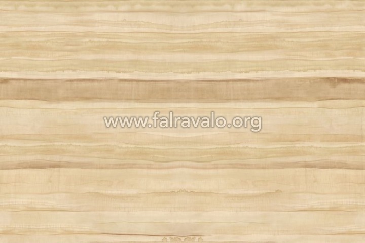 Walldesigns 4