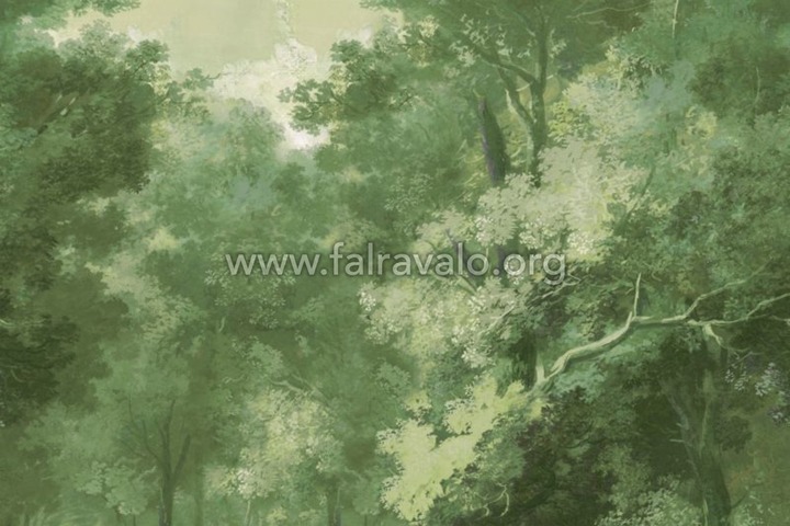 Walldesigns 4