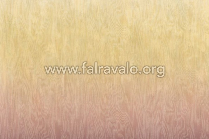 Walldesigns 4