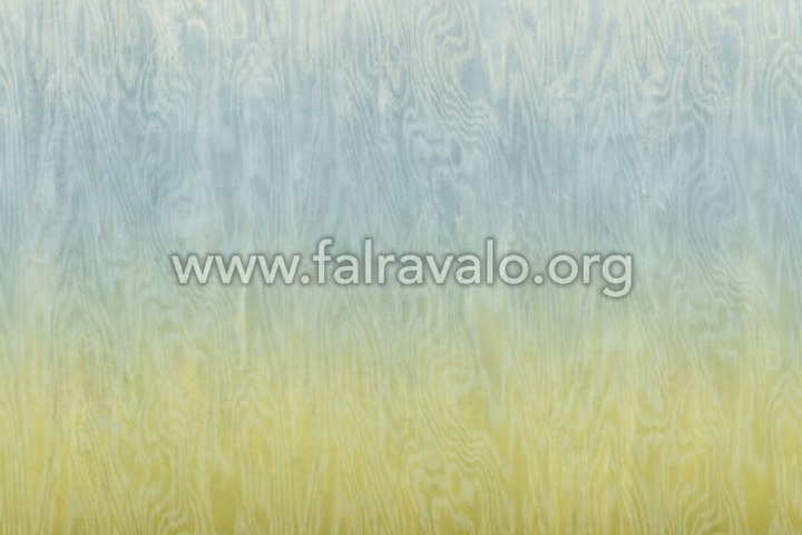 Walldesigns 4