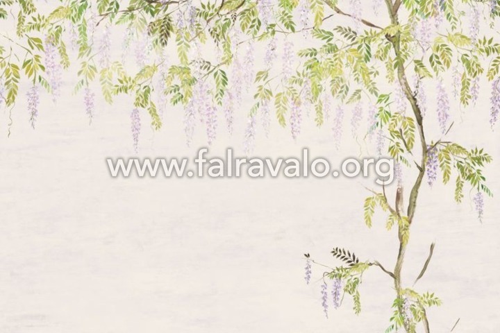 Walldesigns 4