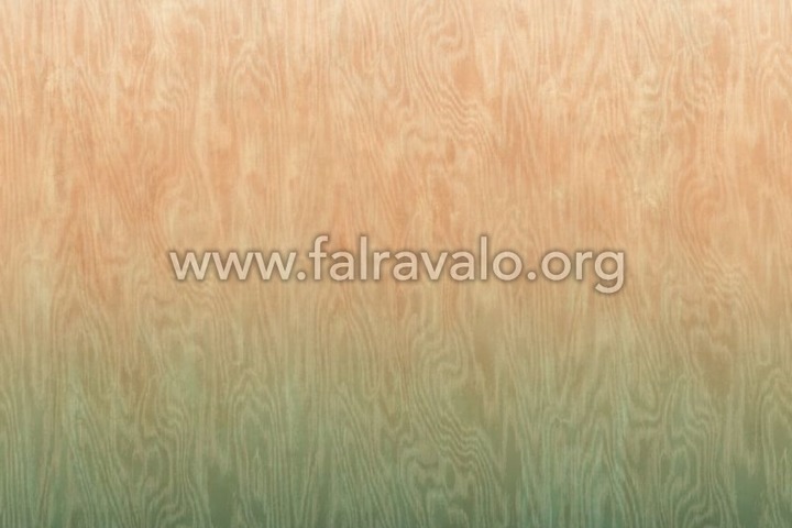 Walldesigns 4