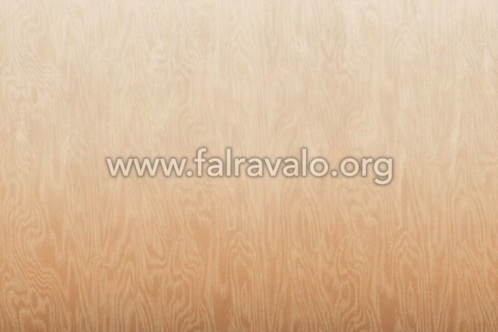 Walldesigns 4