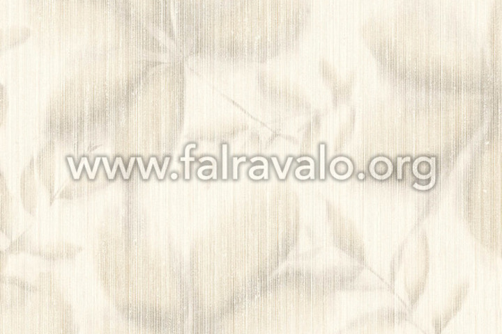 Terranova