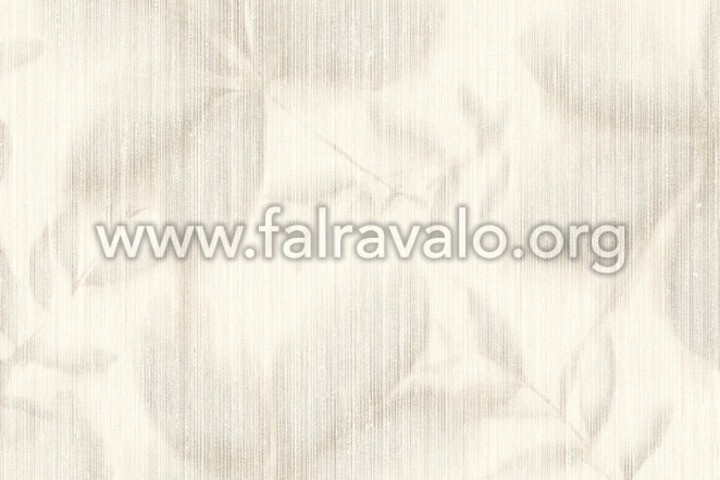 Terranova